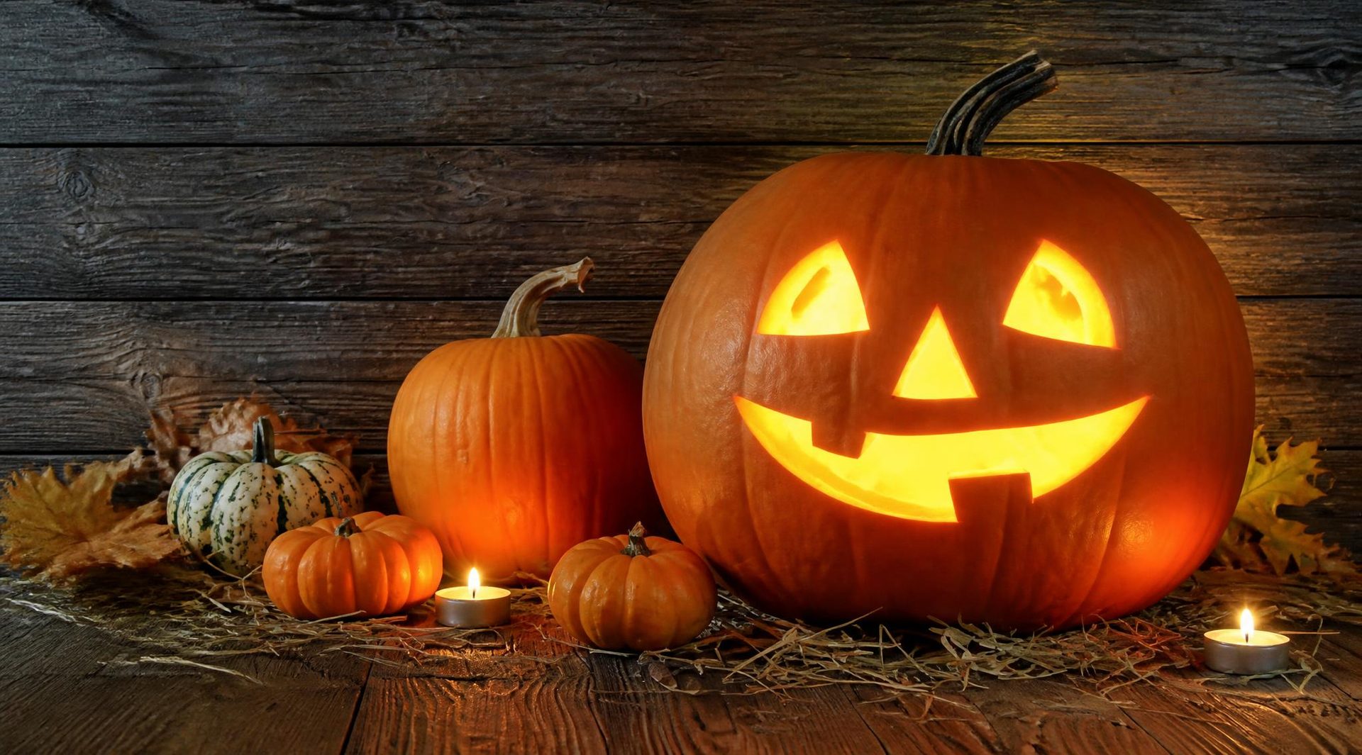 Décor Halloween avec citrouilles et mise en scène frissons installé par Décoration Événement
