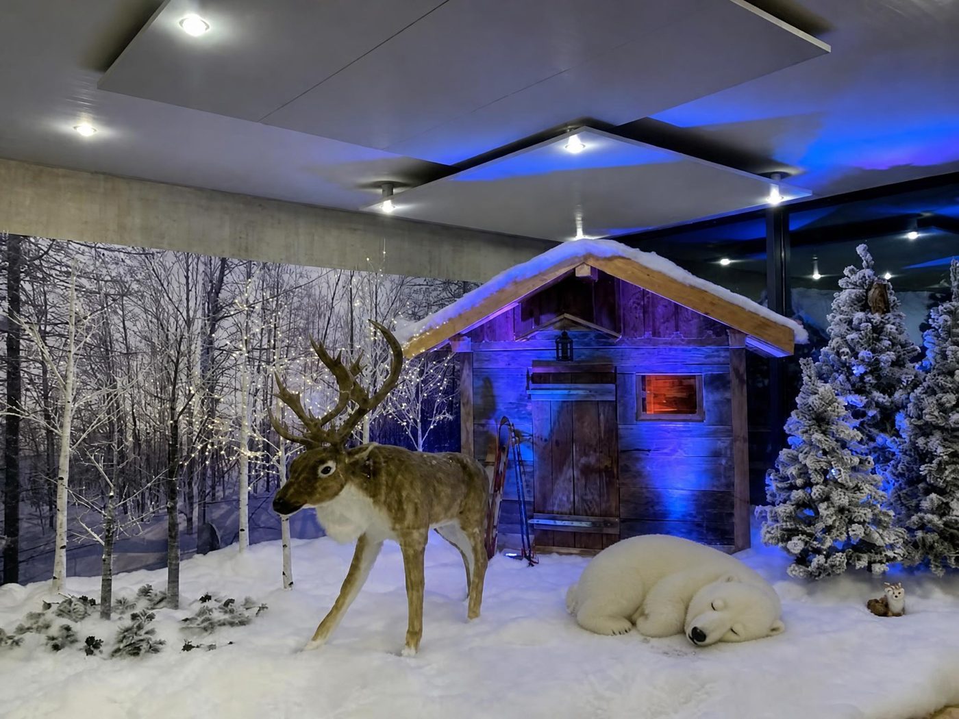 Cerf géant & ours blanc — location de décor événementiel en Suisse romande