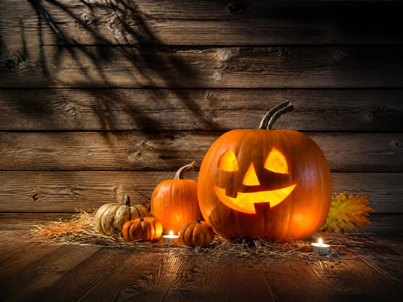 Animations-Spectacles_Décoration Halloween