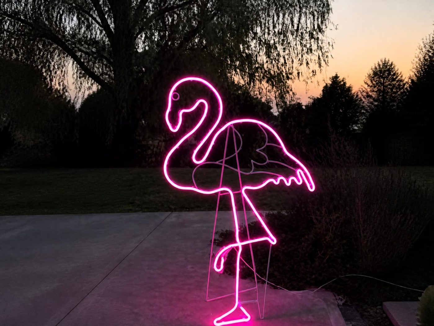 Flamant rose LED — location de décor événementiel en Suisse romande