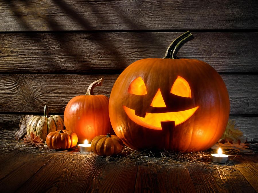 Décors Halloween à louer pour centres commerciaux et soirées