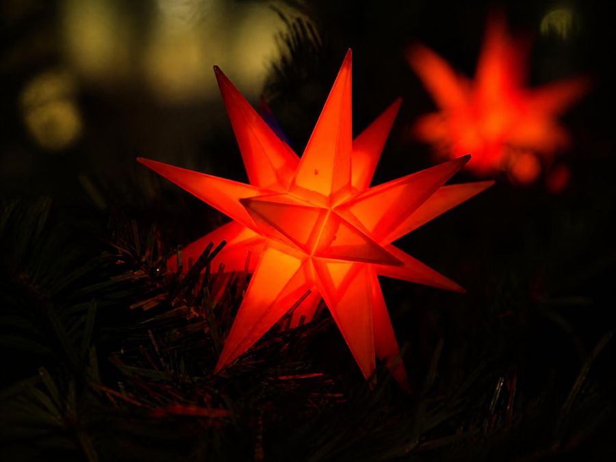 Décorations lumineuses d'hiver pour extérieur