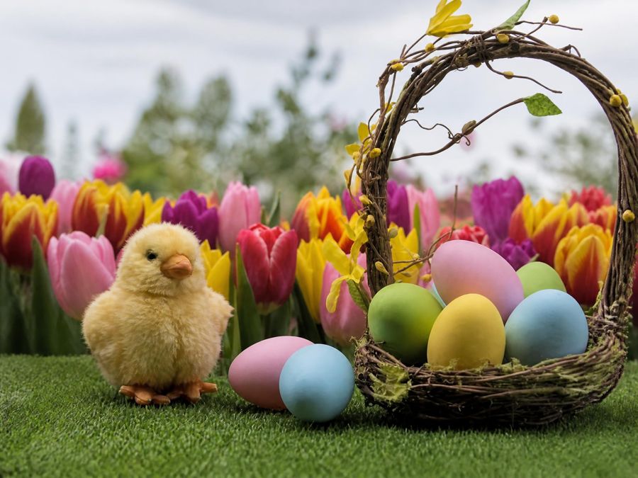 Location de décoration de Pâques avec œufs géants